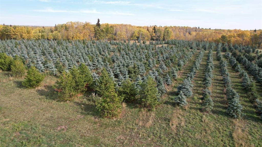NE22-74-6-W6 62 Range Road  - Photo 11
