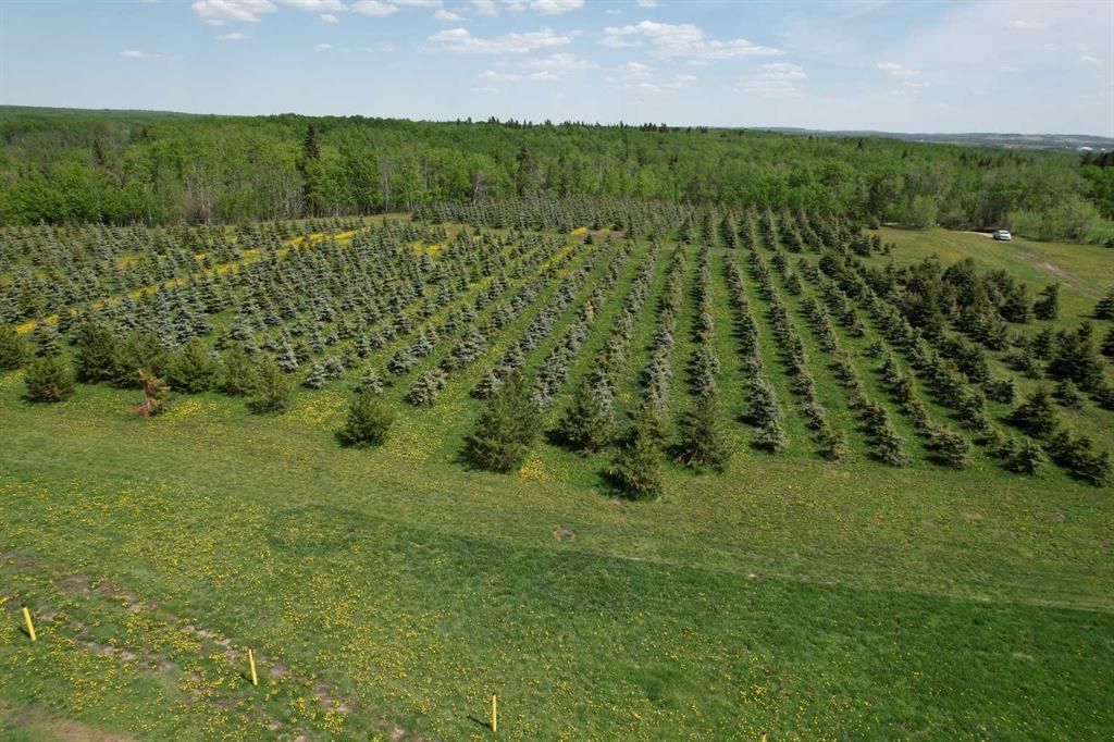 NE22-74-6-W6 62 Range Road  - Photo 17