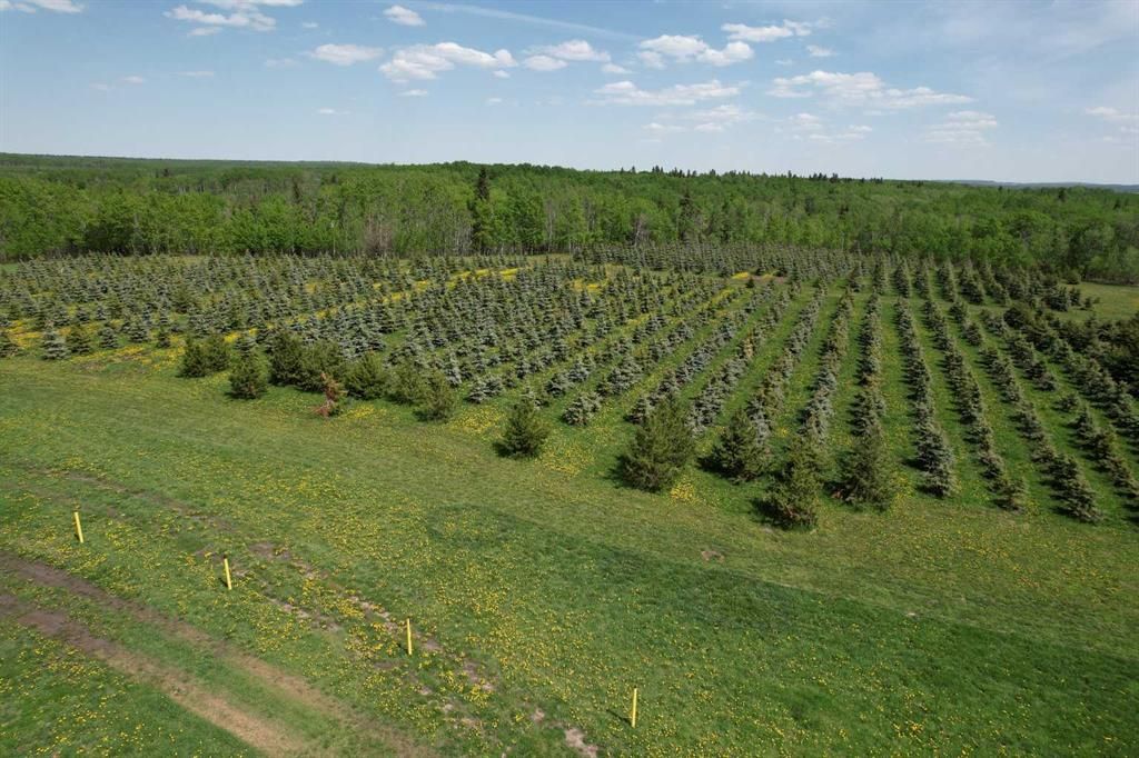 NE22-74-6-W6 62 Range Road  - Photo 18