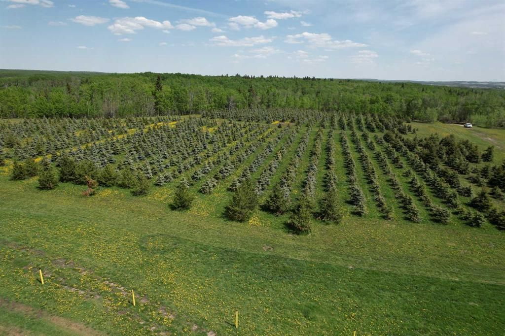 NE22-74-6-W6 62 Range Road  - Photo 5