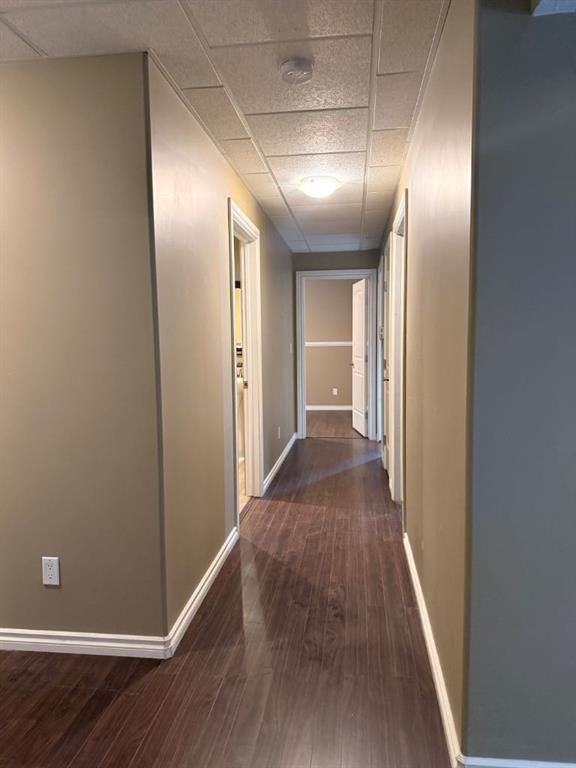 9106 Willow Drive   - Photo 15