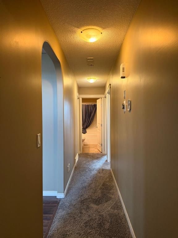 9106 Willow Drive   - Photo 8