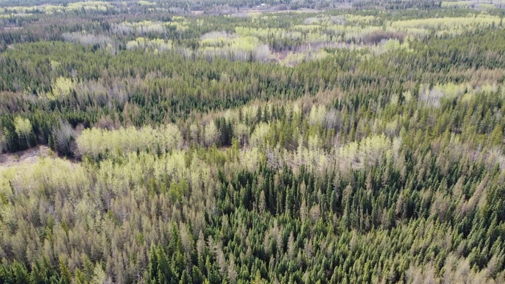 NW-20-70-6-6 TWP Rd 704   - Photo 3