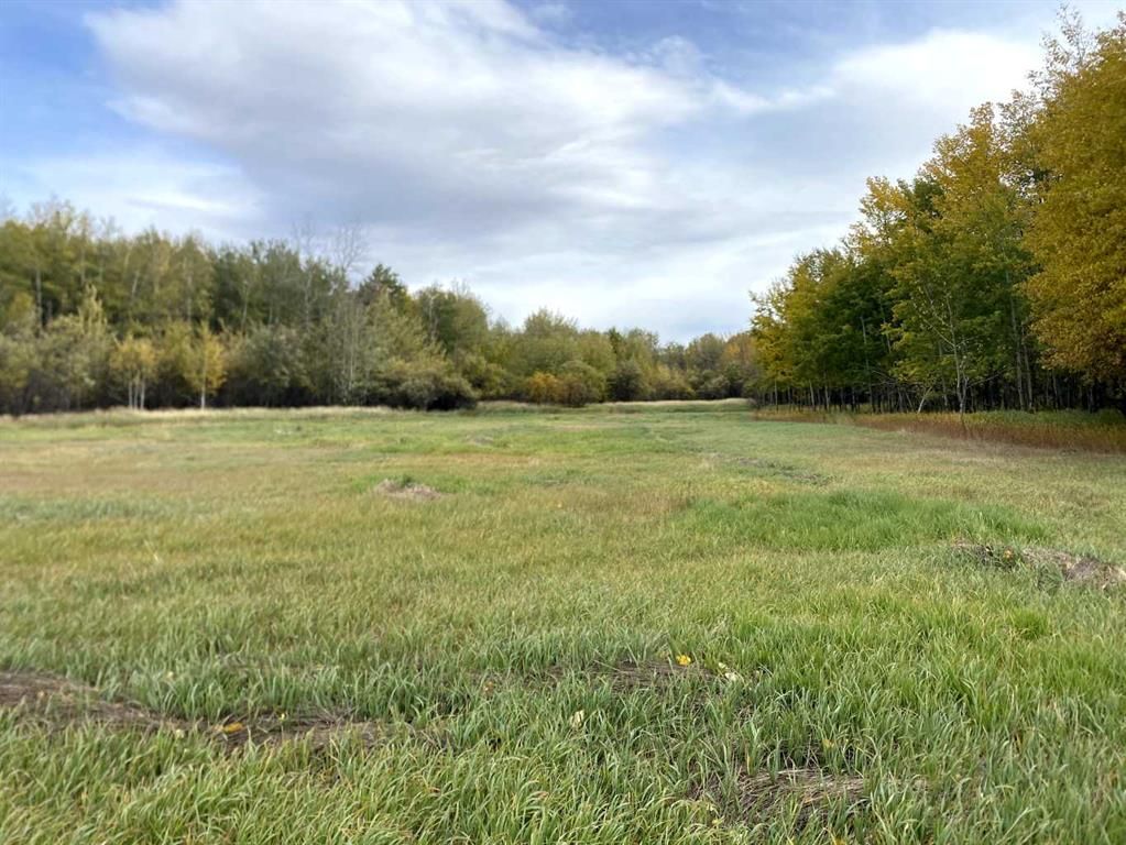  TWP RD 704   - Photo 10