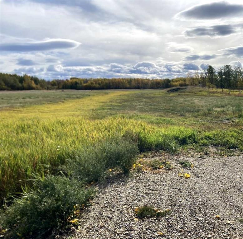  TWP RD 704   - Photo 6