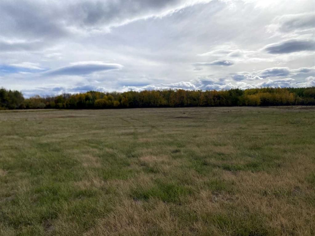  TWP RD 704   - Photo 7