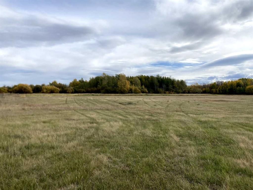  TWP RD 704   - Photo 8
