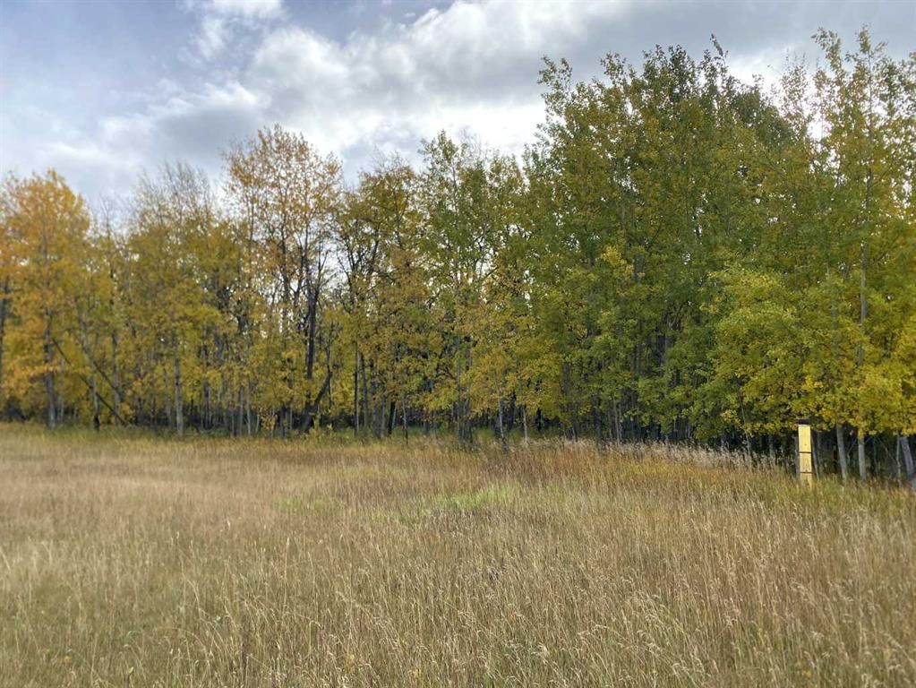  TWP RD 704   - Photo 9