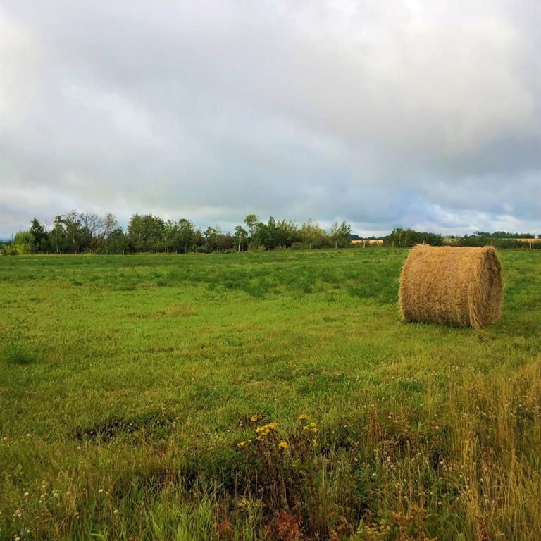 42 713019 Range Road 71   - Photo 4