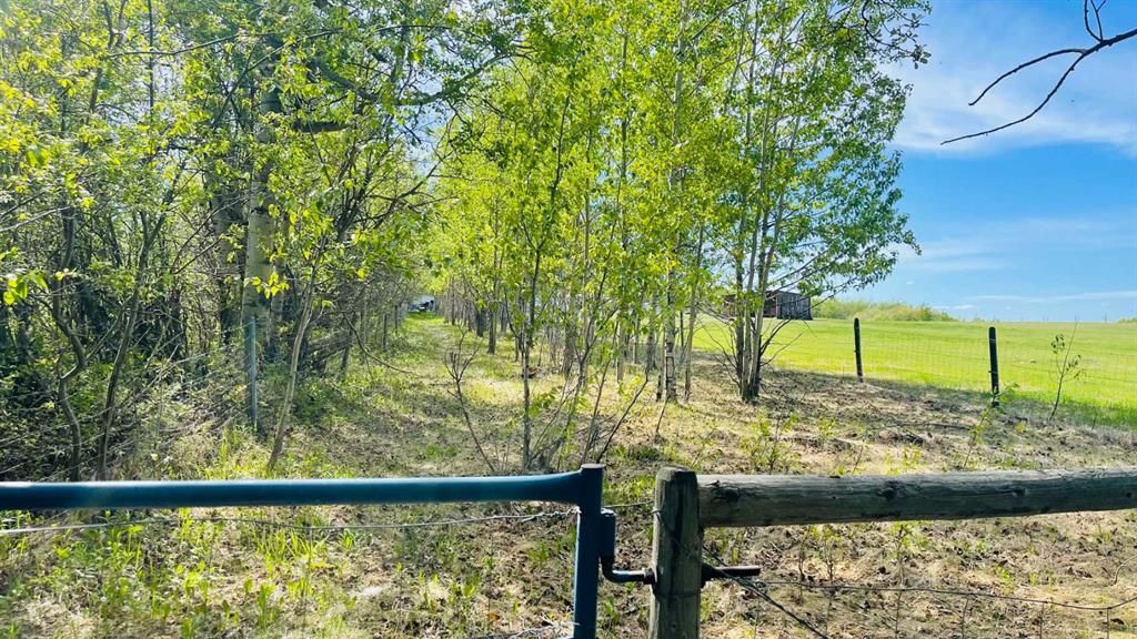 743001 Range Road 51   - Photo 39