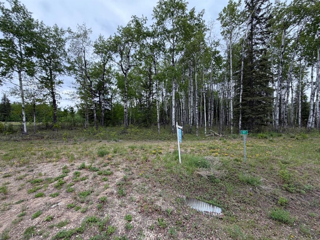 57, 704016 Range Road 70   - Photo 8