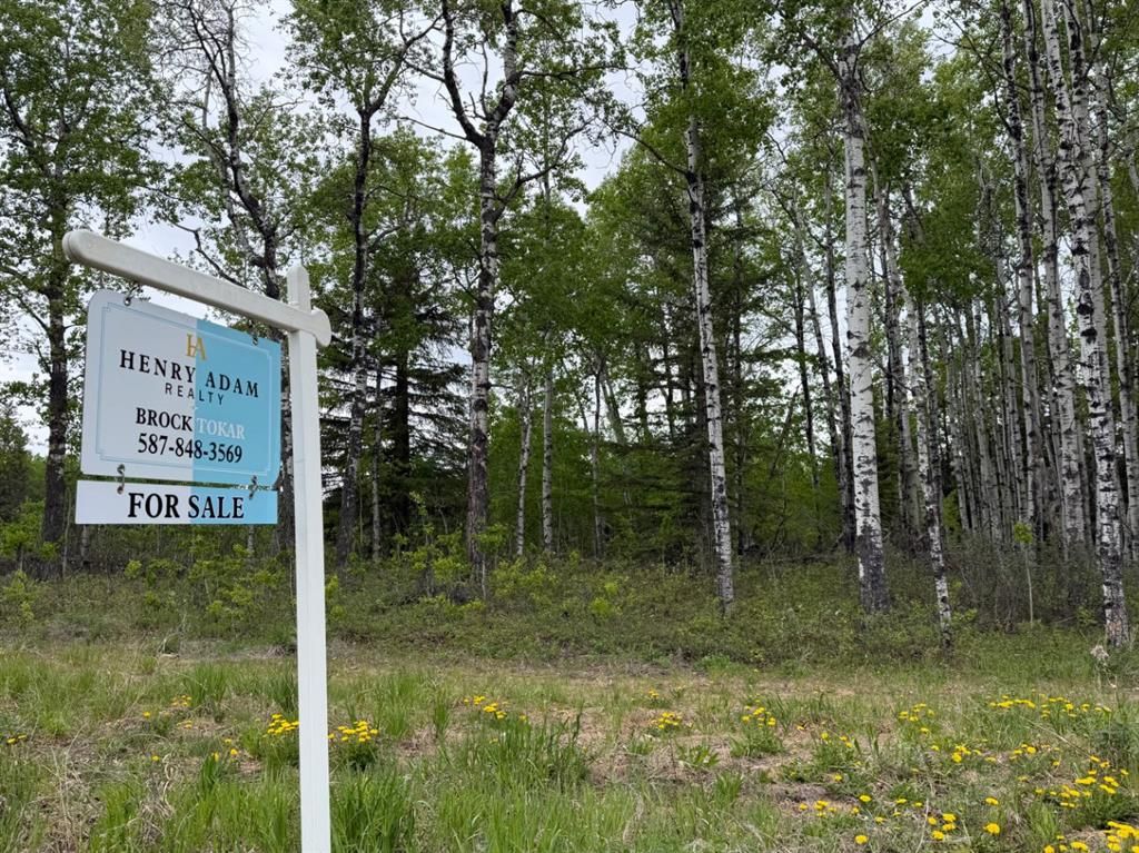 57, 704016 Range Road 70   - Photo 9