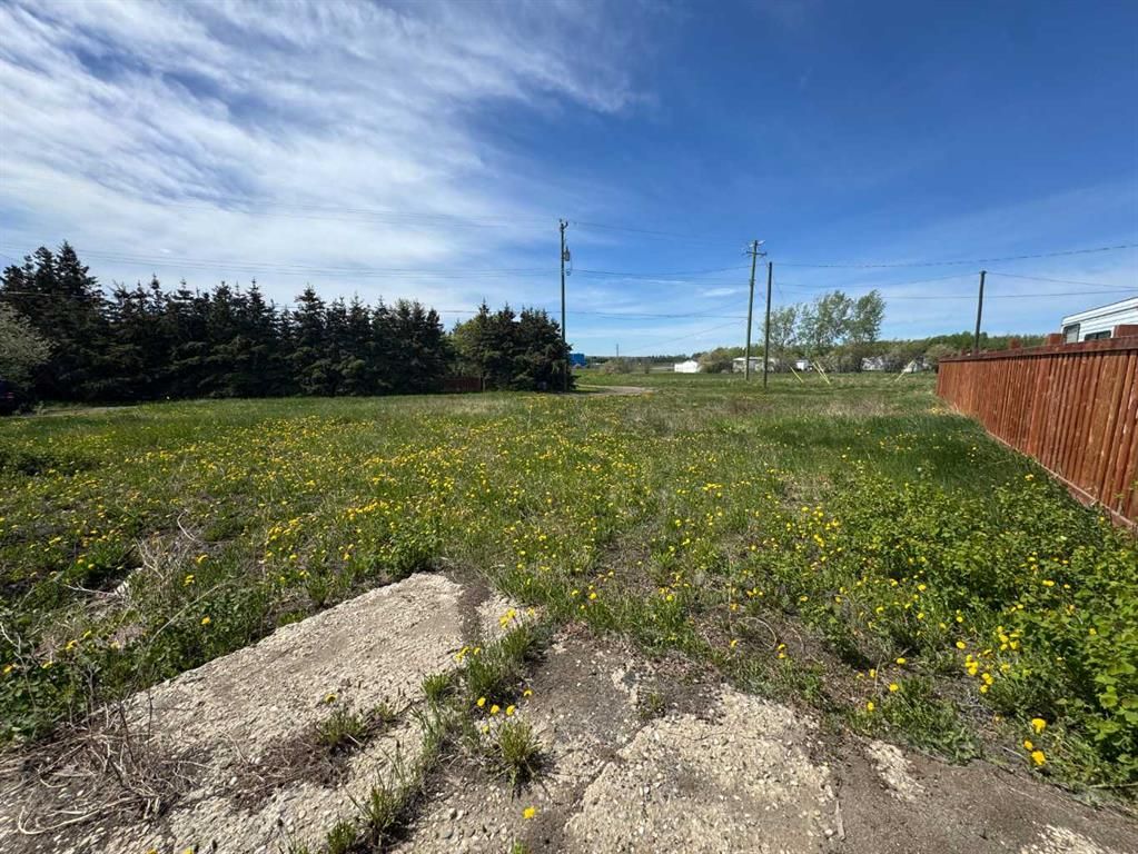 1119 7th Avenue  - Photo 3