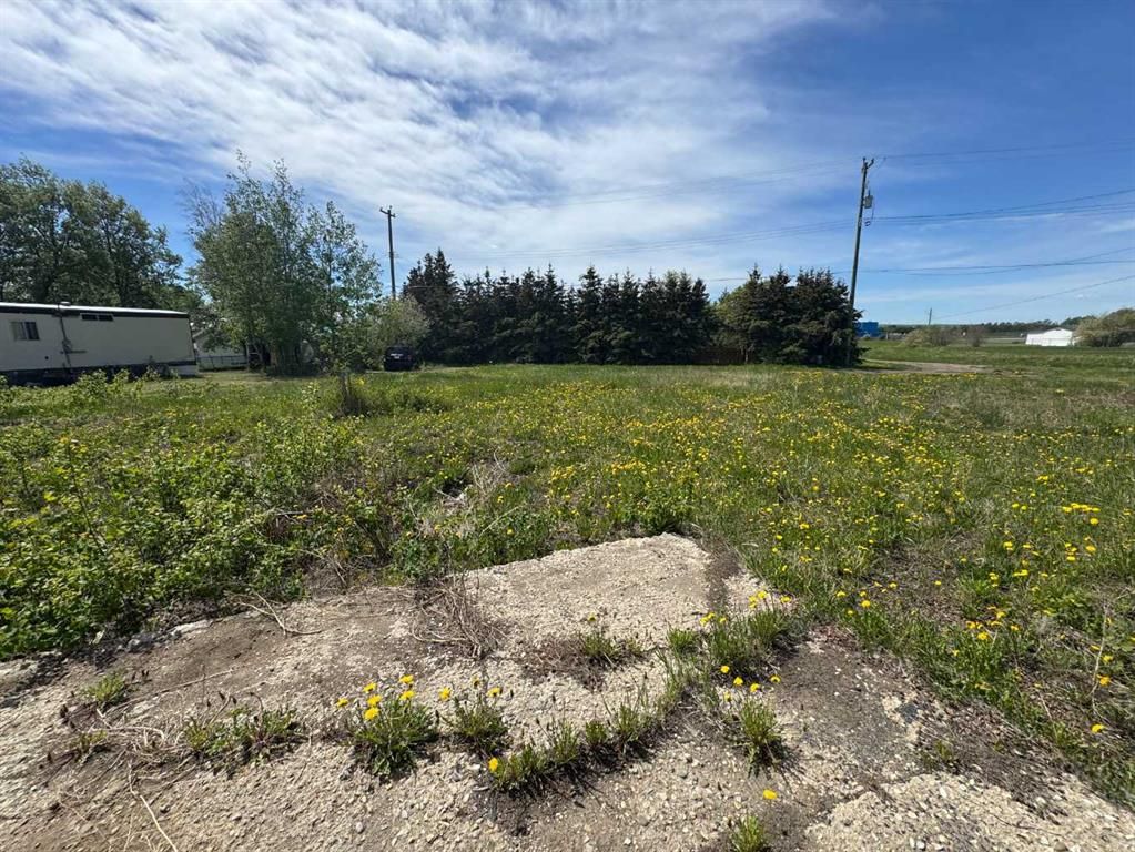 1119 7th Avenue  - Photo 4
