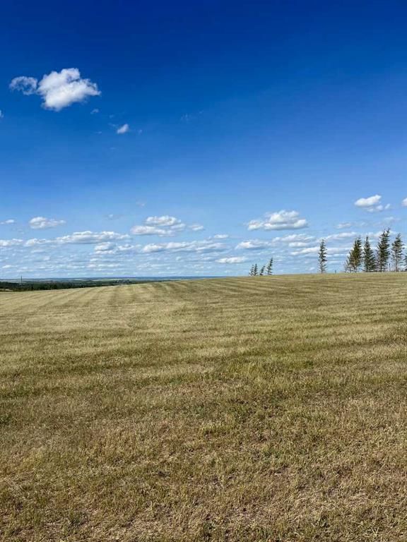 47 713019 Range Road 71   - Photo 9