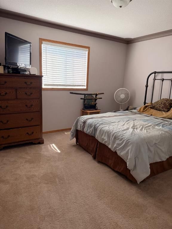 9137 94A Avenue   - Photo 11