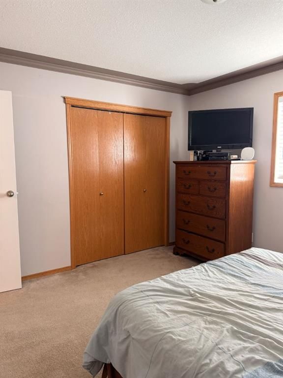 9137 94A Avenue   - Photo 12