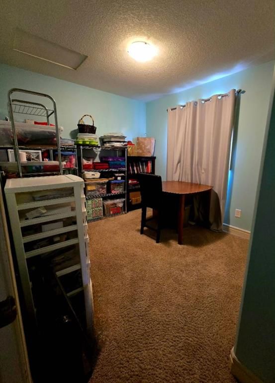 8563 69 Avenue  - Photo 25