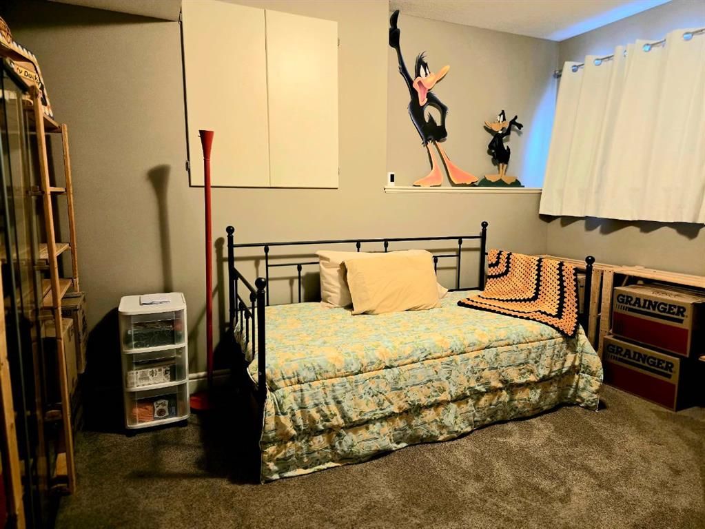 8563 69 Avenue  - Photo 27