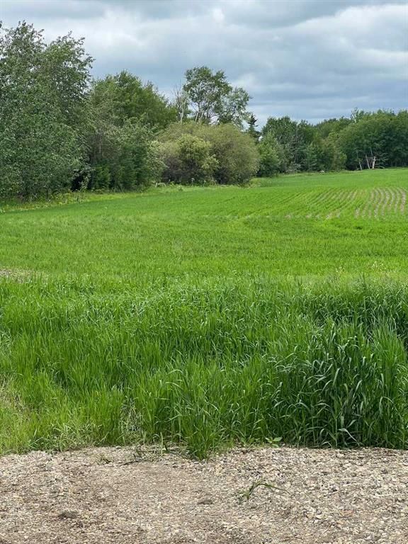 714002 Range Road 85   - Photo 11