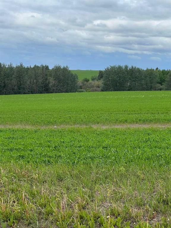 714002 Range Road 85   - Photo 12