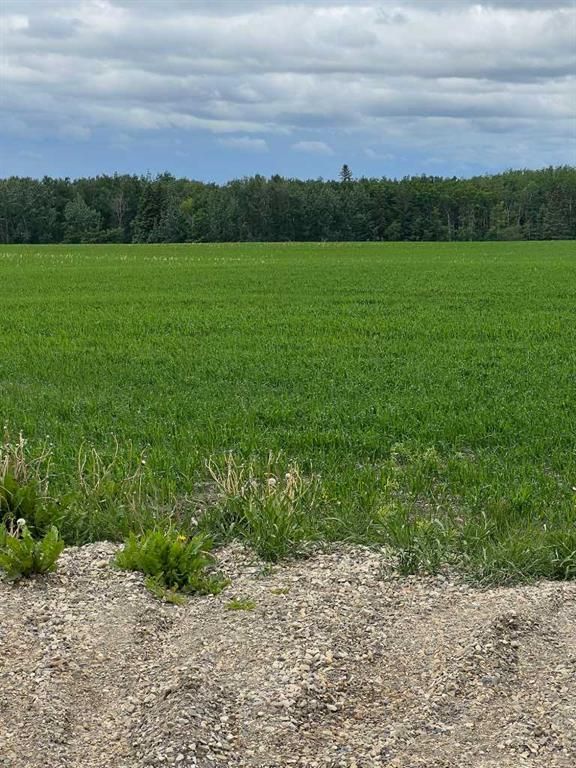 714002 Range Road 85   - Photo 13