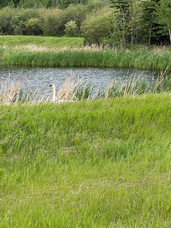 714002 Range Road 85   - Photo 6