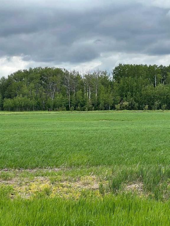 714002 Range Road 85   - Photo 8