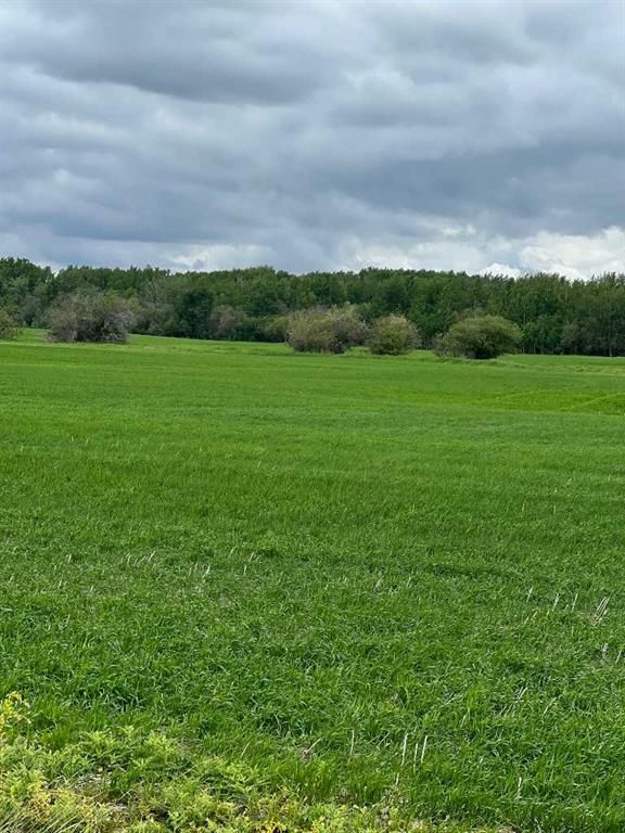 714002 Range Road 85   - Photo 9
