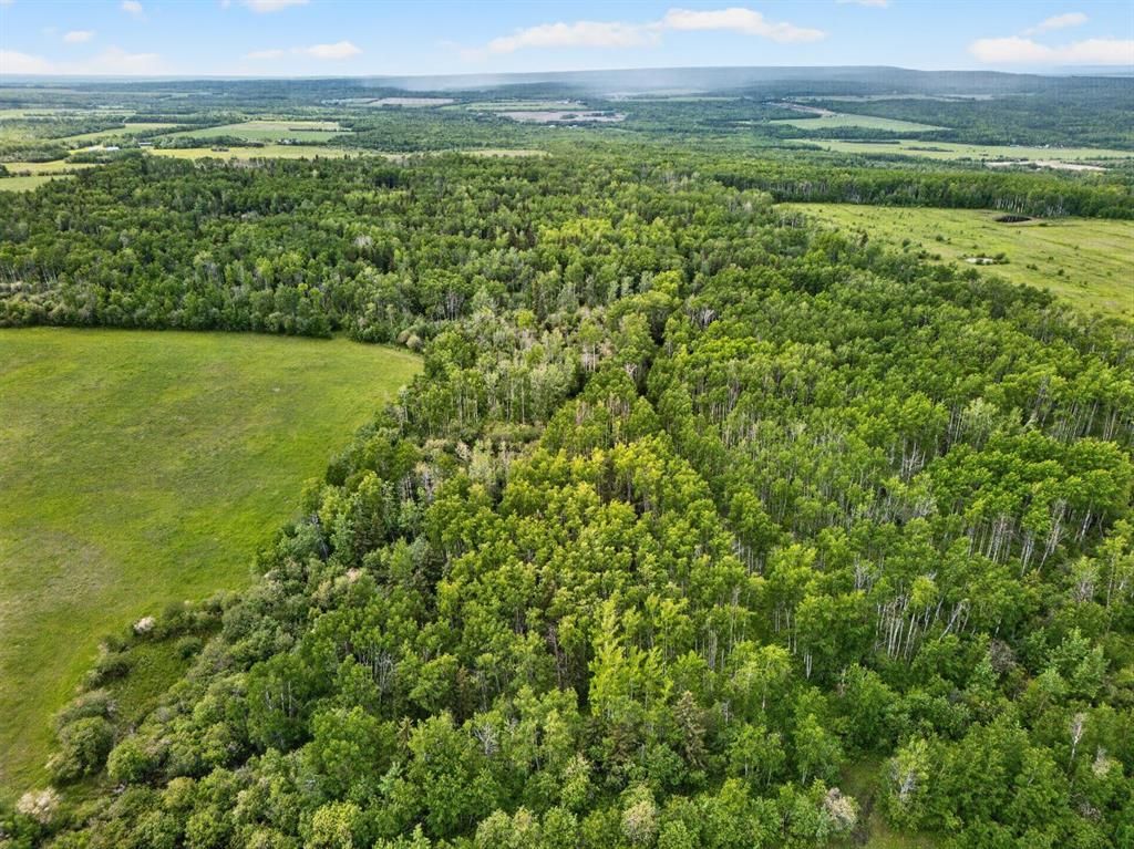 45016 Township Road 744A   - Photo 11