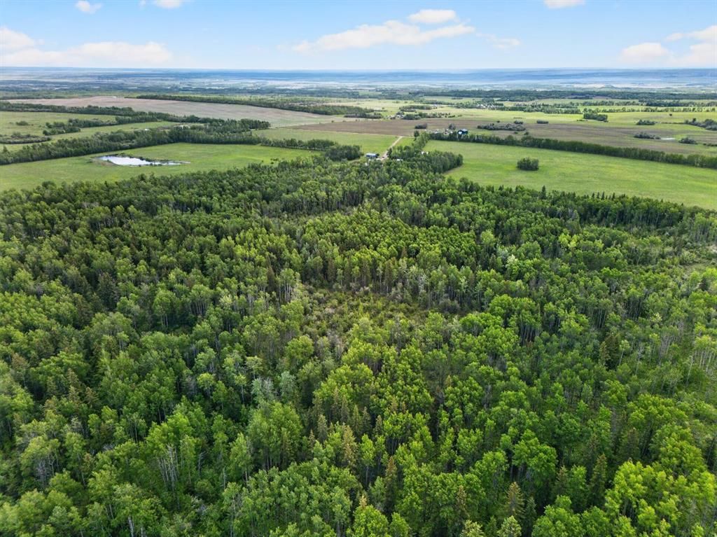 45016 Township Road 744A   - Photo 12