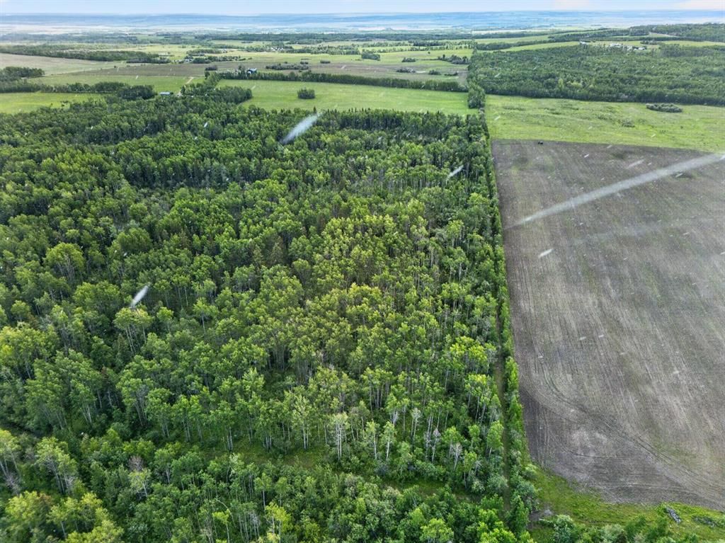 45016 Township Road 744A   - Photo 13