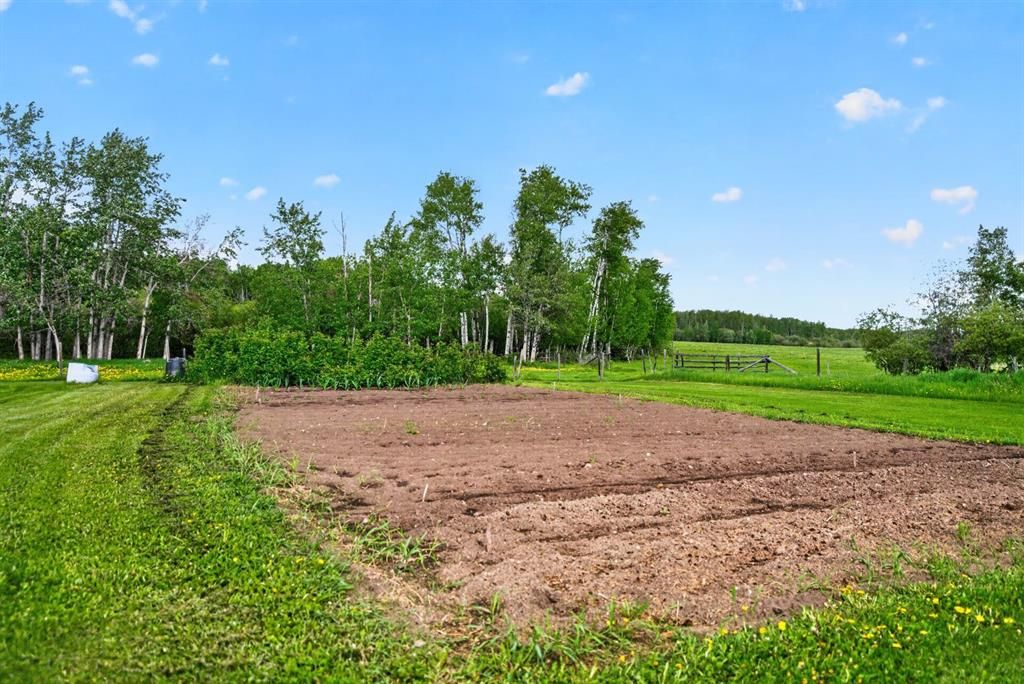 45016 Township Road 744A   - Photo 24