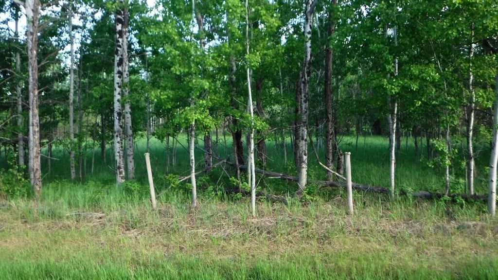 Highway 43   - Photo 9