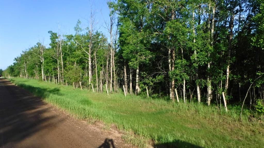  Highway 43   - Photo 10