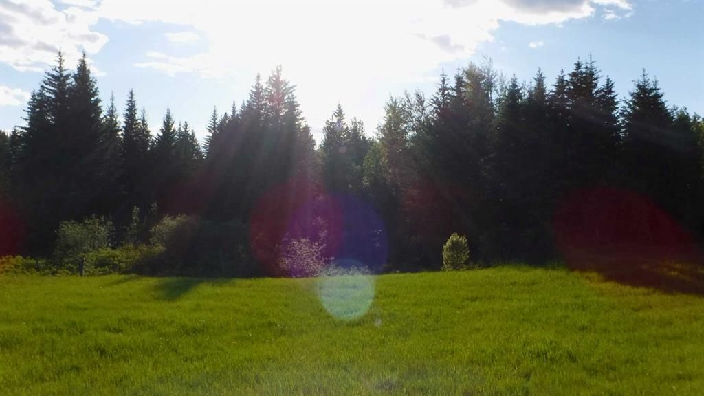  Highway 43   - Photo 4