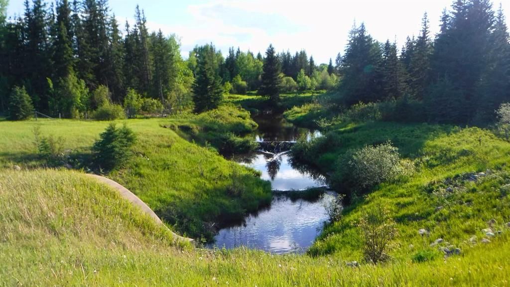  Highway 43   - Photo 5