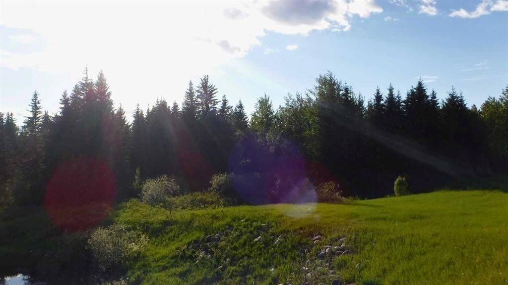  Highway 43   - Photo 6