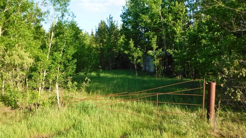  Highway 43   - Photo 7