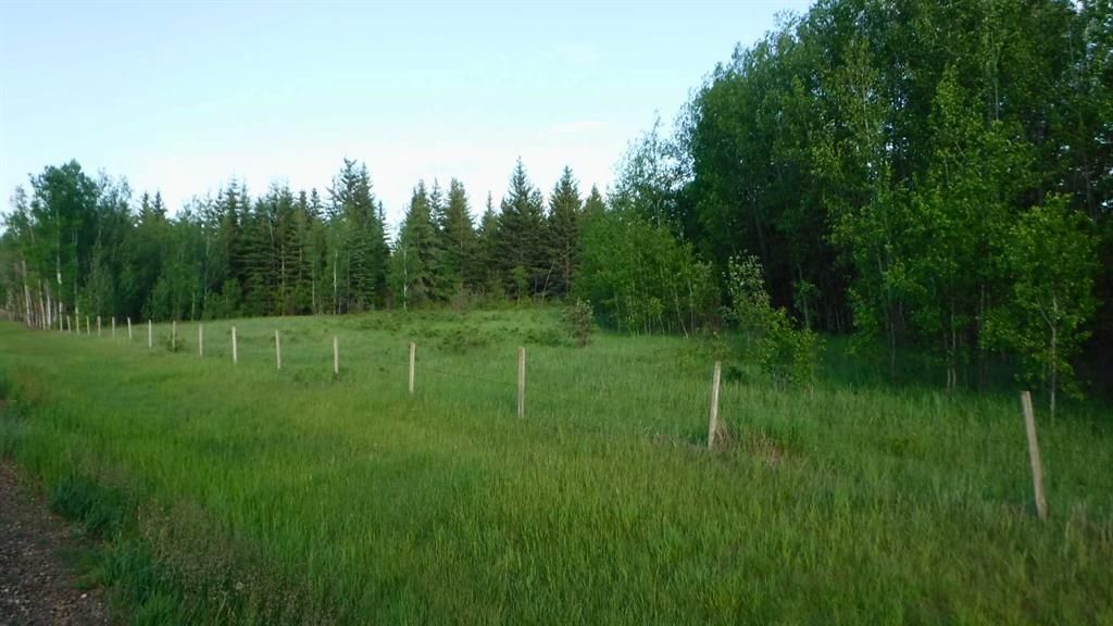  Highway 43   - Photo 8