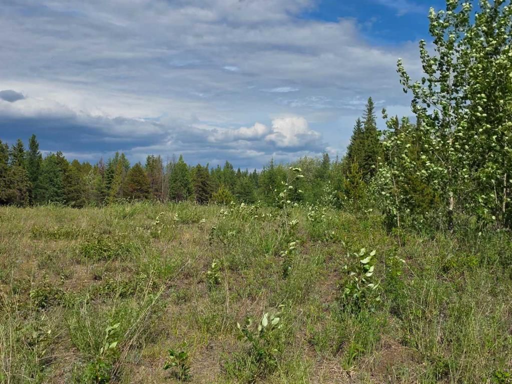 5, 64009 704 Township  - Photo 4