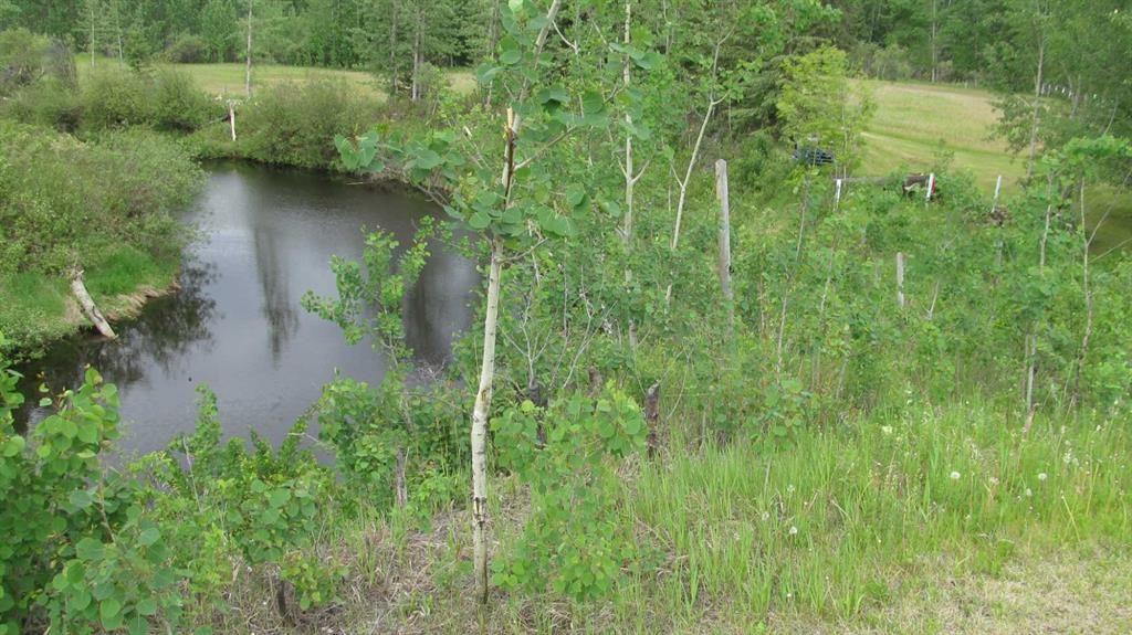 725060 Highway 43   - Photo 10