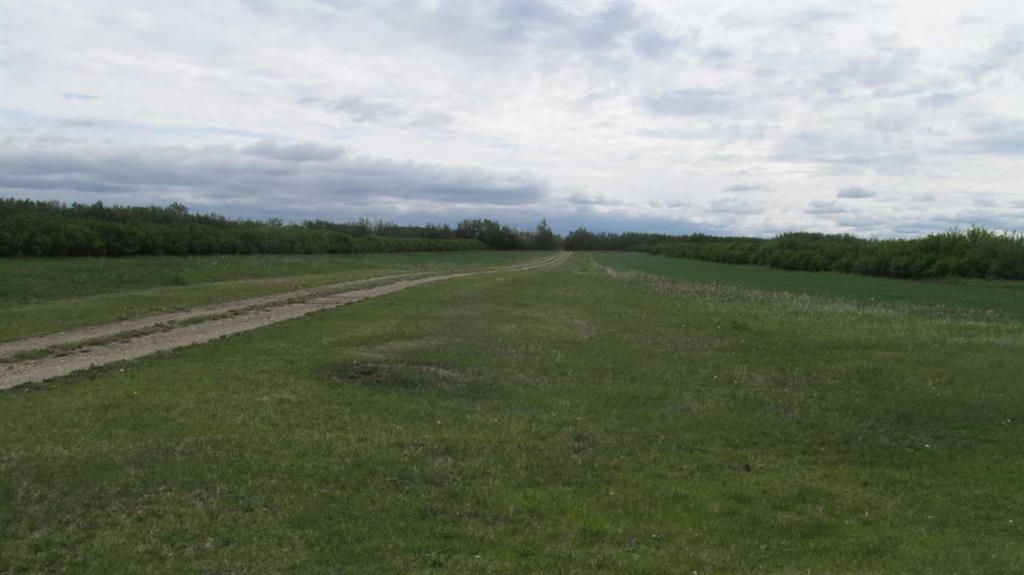 725060 Highway 43   - Photo 13