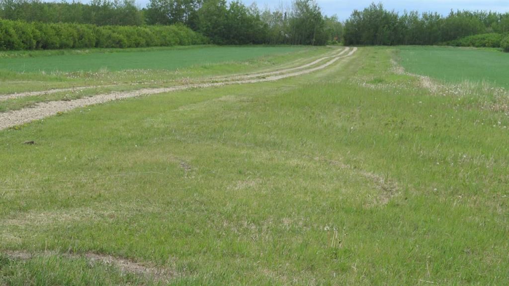 725060 Highway 43   - Photo 14