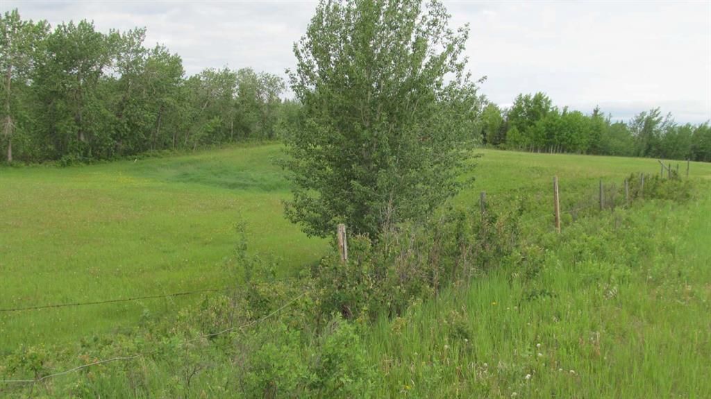 725060 Highway 43   - Photo 3