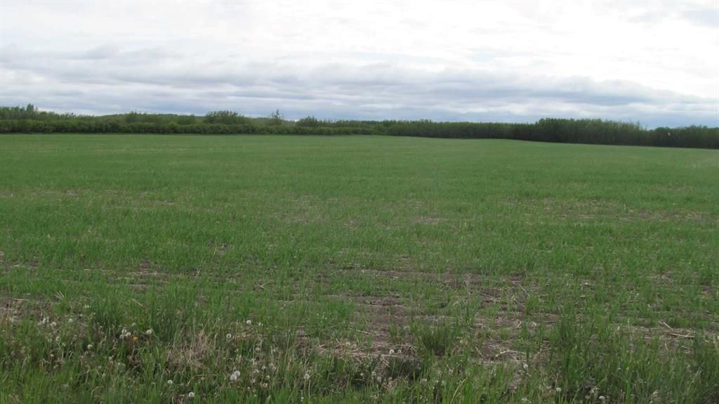 725060 Highway 43   - Photo 4