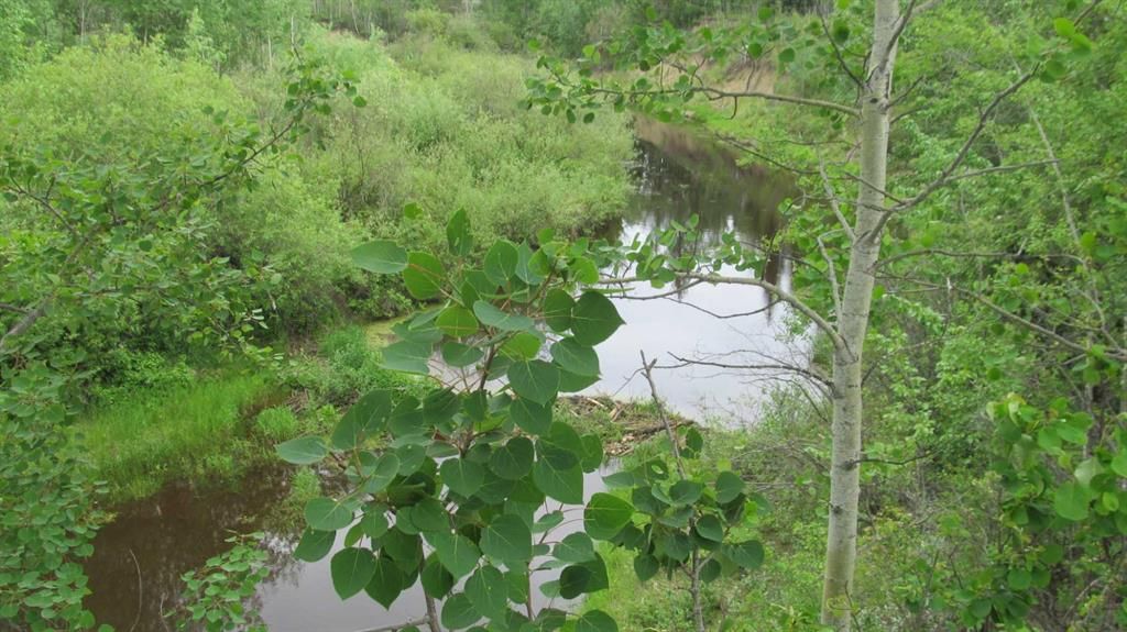 725060 Highway 43   - Photo 7