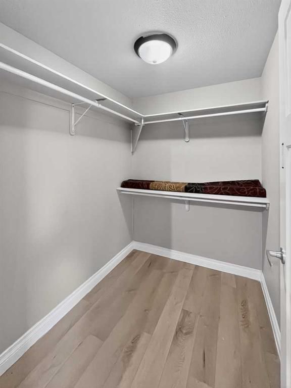 10256 85 Street  - Photo 23