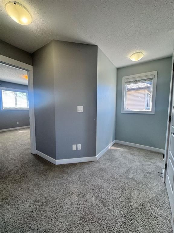 8453 101 Street  - Photo 20