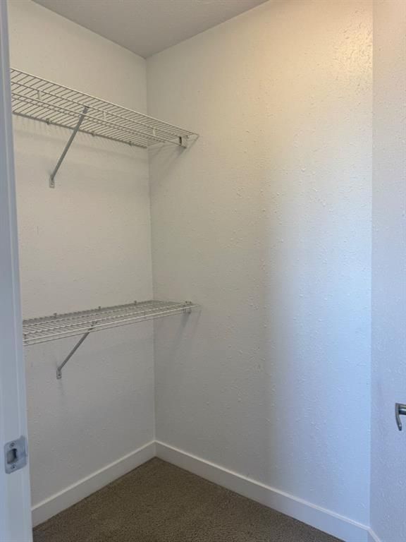 8453 101 Street  - Photo 29